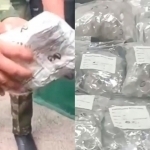Toshkent viloyatidagi chegara postida 1,8 mlrd so‘mlik zargarlik buyumlari avtobus g‘ildiragi orasidan topildi