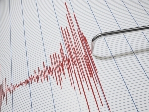 Impact of the earthquake in Kyrgyzstan was felt in Fergana