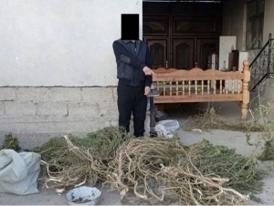Samarqandda qariyb 32 kg marixuanani uyida saqlagan shaxs ushlandi