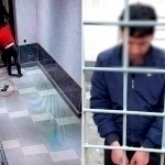 Bo‘stonliqda mushuklarni qiynab o‘ldirgan shaxslar qamaldi (video)