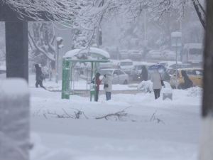 Қишнинг илк кунидаёқ Ўзбекистонда қор ёғади