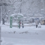 Қишнинг илк кунидаёқ Ўзбекистонда қор ёғади