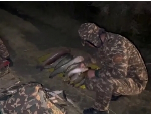 Zarafshon daryosidan baliq ovlaganlar tabiatga 130 mln so‘m zarar yetkazdi