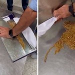 Hindistonda ushlab qolingan oltinlar O‘zbekistondan olib chiqib ketilganmi?