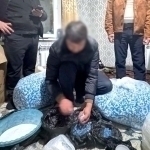 Toshkent viloyatida 1 mlrd so‘mlik “tabletka” saqlagan shaxs ushlandi (video)