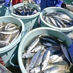 Япония Хитойдан денгиз маҳсулотлари импортини қайта тиклашни сўради
