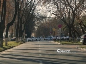 Ertaga havo harorati nisbatan iliq bo‘ladi