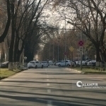 Эртага ҳаво ҳарорати нисбатан илиқ бўлади