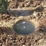 Company head was arrested for water misuse in Tashkent