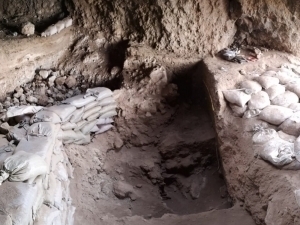 Traces of ancient farmers discovered in southern Uzbekistan