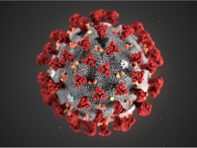 Koronavirus. Mikro dushmanimiz haqida nimalarni bilamiz? (video)