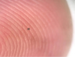 Xuddi “Qahramonlar shahri” multfilmidagidek. Dunyodagi eng kichik robot yaratildi