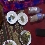 Namanganda dalashiyponda “marixuana” saqlagan fuqaro ushlandi