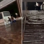 23 ta hududni suv bosgan: Toshkentdagi toshqin sabablari aytildi (video)
