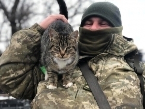 Ukrainada mushuklar ham frontga safarbar qilinmoqda – “Bild”