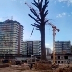 Toshkent shahar ekologiya boshqarmasi faoliyatiga xizmat tekshiruvi tayinlandi