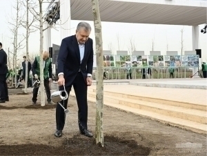 Bugun Shavkat Mirziyoyev ko‘chat ekadi