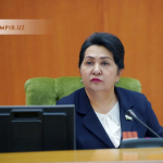 Senatorlar o‘z hududi muammolarini olib chiqishda tashabbus ko‘rsatmadi – Norboyeva xonim