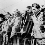 Бугун “101 ватандош изидан” лойиҳасига старт берилади
