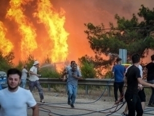 Turkiyada rekord darajadagi issiq tufayli o‘rmon yong‘inlari avj olmoqda (video)