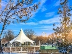 O‘zbekistonda havo harorati 15 darajagacha ko‘tariladi