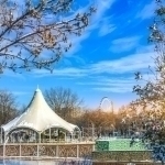 O‘zbekistonda havo harorati 15 darajagacha ko‘tariladi