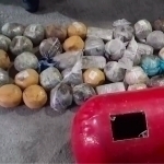 Tojikistondan olib kelingan 66 kg narkotik modda topildi (video)