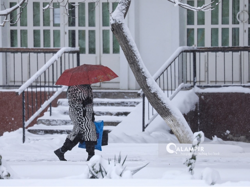 Декабрда қор ёғади