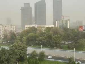 Бугун 8 ҳудудда кучли шамол ва чанг-тўзон бўлади