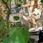 Astraxanda ko‘p qavatli uyning bir qismi qulab tushdi (video)