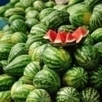 Growing concern over watermelon poisoning in Tashkent
