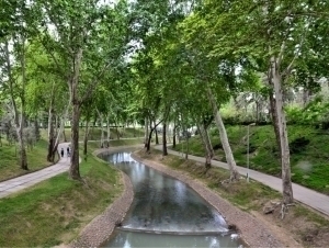 Тошкентда анъанавий ариқлар тармоғи қайта тикланади 