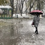 O‘zgidromet Toshkentda nega “loyli qor” yog‘ganini tushuntirdi