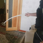 Фуқаронинг уйидан хавфли илон топилди