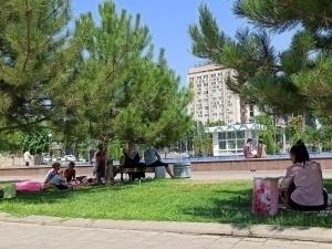 Ertaga havo 42 darajagacha isiydi