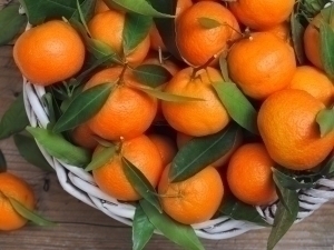  The wholesale price of mandarins in Uzbekistan has decreased since last week, reaching the lowest level for this time of year