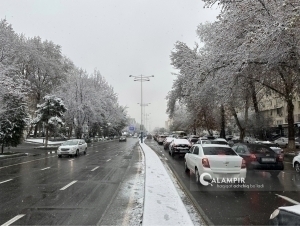 Тошкентдаги ҳайдовчилар огоҳлантирилди 