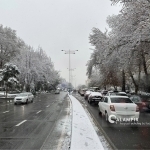 Тошкентдаги ҳайдовчилар огоҳлантирилди 