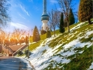 Эртага қандай об-ҳаво бўлади?