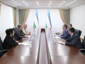 The deputy head of the Ministry of Foreign Affairs of Uzbekistan meets with the Ambassador of Israel