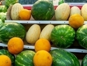 Watermelon poisoning allegations: fact or fear?