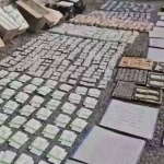 Authorities uncover widespread illegal drug storage in Tashkent (video)