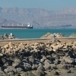 БМТ Ҳормуз орқали ўтишни таъминлаш учун махсус гуруҳ тузмоқда