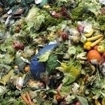 Дунёда ҳар йили қарийб 1 млрд тонна озиқ-овқат чиқиндига ташланади