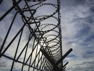 “Қонли йил”. Саудияда қатллар сони бўйича рекорд янгиланди