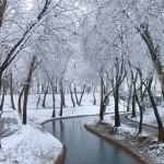 Weather forecast for February 17-19: Rain and snow in some regions