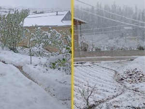 Snow Fell in Two Regions of Uzbekistan