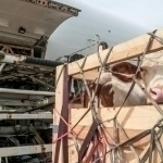 O‘zbekiston o‘limga olib keluvchi Nipax virusi sabab Hindistonga cheklovlar o‘rnatdi (video)