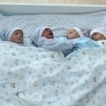 O‘zbekistonda yarim yil ichida qancha egizak chaqaloq tug‘ildi? 