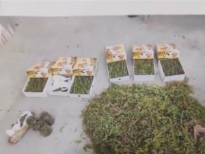 Individual was arrested keeping marijuana in his house in Fergana